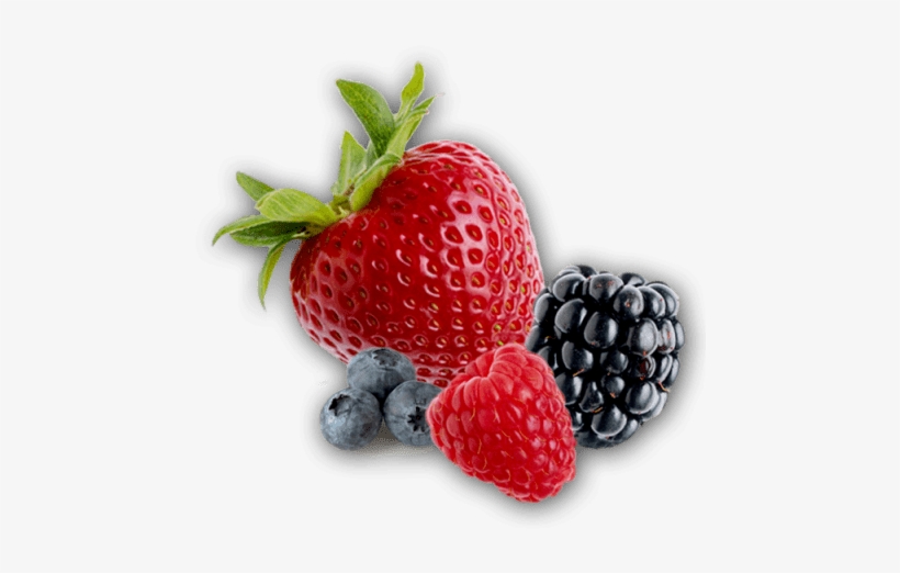 Free Png Berries Png Images Transparent - Berries Png Transparent, transparent png