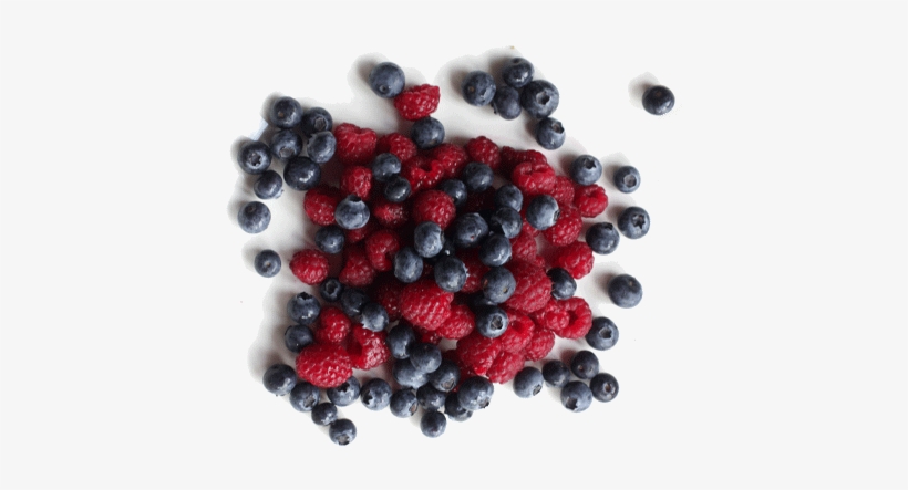 The Magoebaskloof Berry Festival 2017 Will Be Held - Bilberry, transparent png