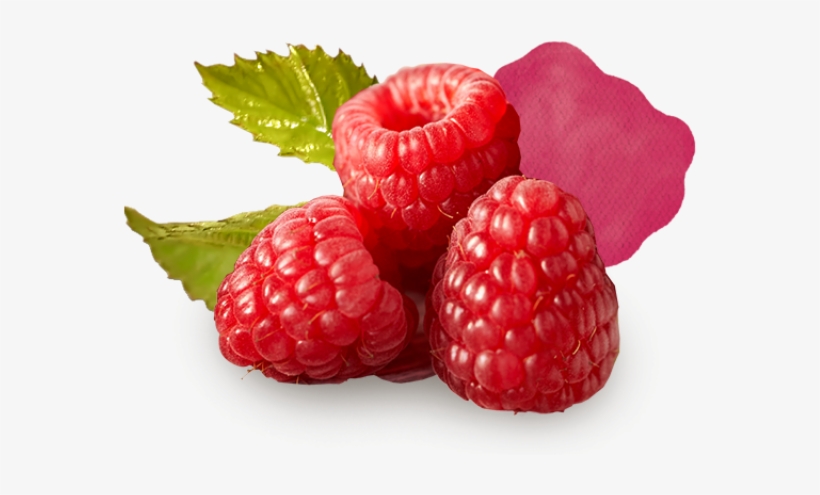 Red Berry Png Graphic Library Stock - Png Berry, transparent png