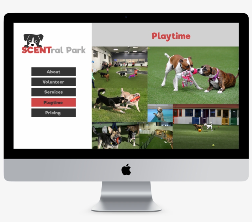 And Human Friends Alike, transparent png