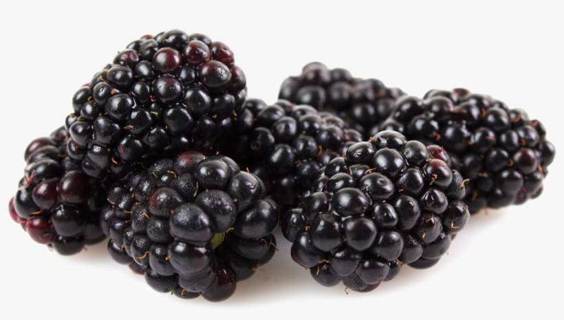 Kotata Blackberries - Black Pepper Free Png, transparent png