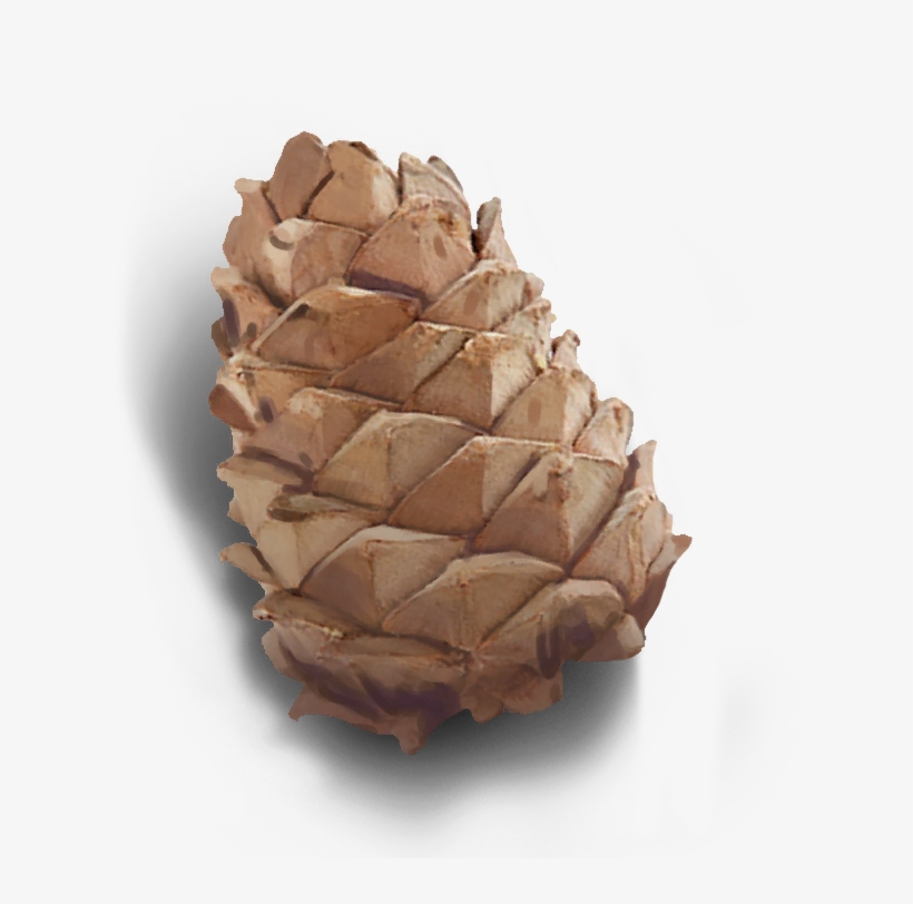 Ui Tx Metainventory Souvenirs Pinecone - Texas, transparent png