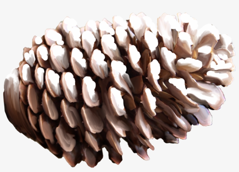 Pine Cone Png - Nut Pine Png, transparent png
