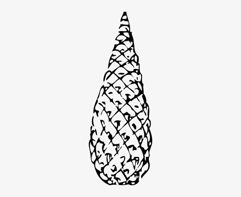 Pine Clipart Cone - رسم الصنوبر, transparent png