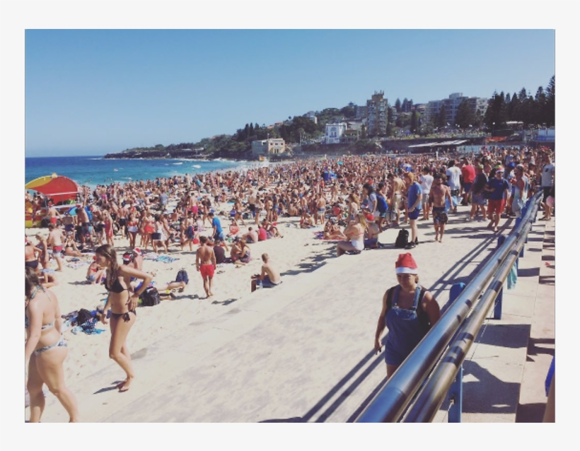 Booze Ban At Sydney Beach After 'disgraceful' Christmas, transparent png