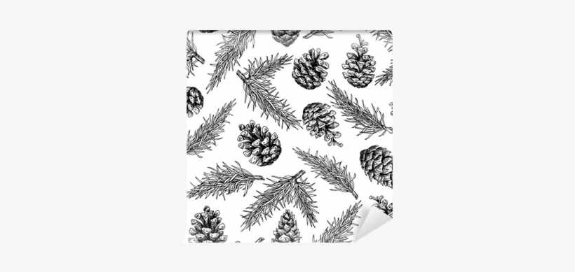 Pine Cone And Fir Tree Seamless Pattern - Conifer Cone, transparent png