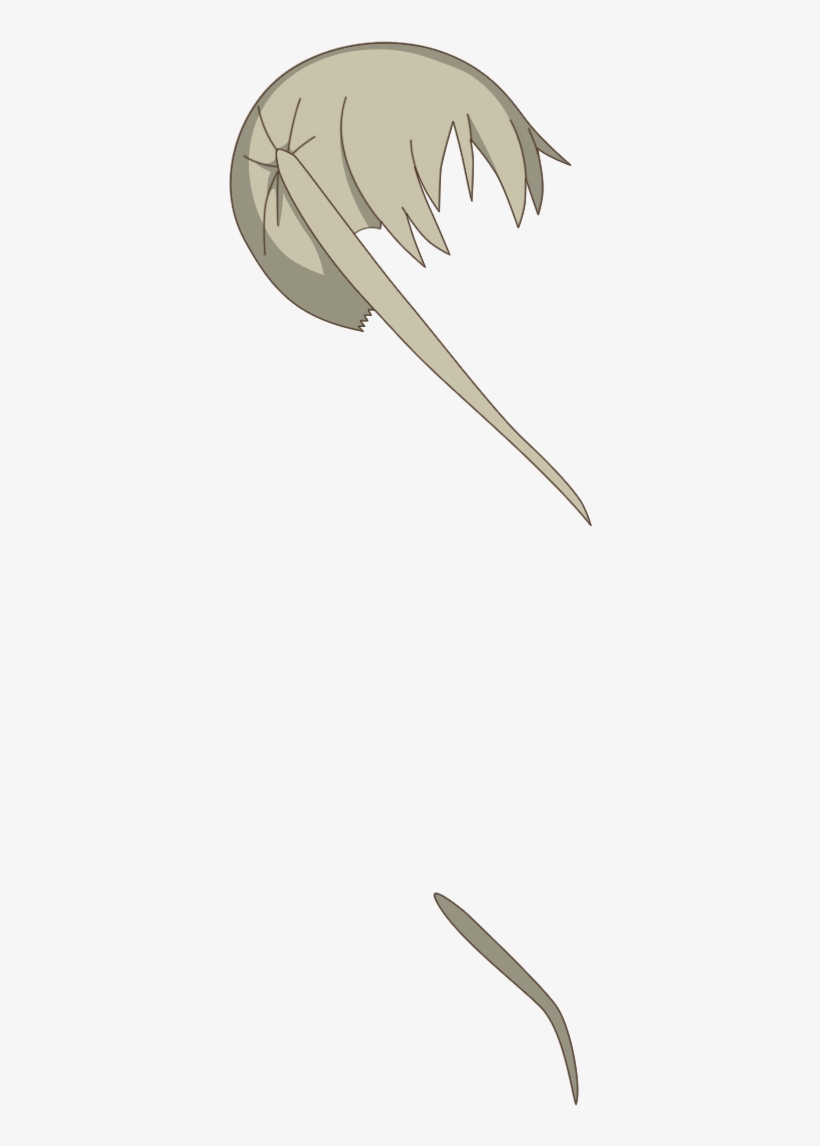 2299 Black Star 05 Aug 2017 - Maka Albarn, transparent png