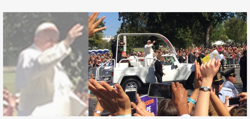 Local Church Takes Pilgrimage To The Papal Parade - Safari, transparent png