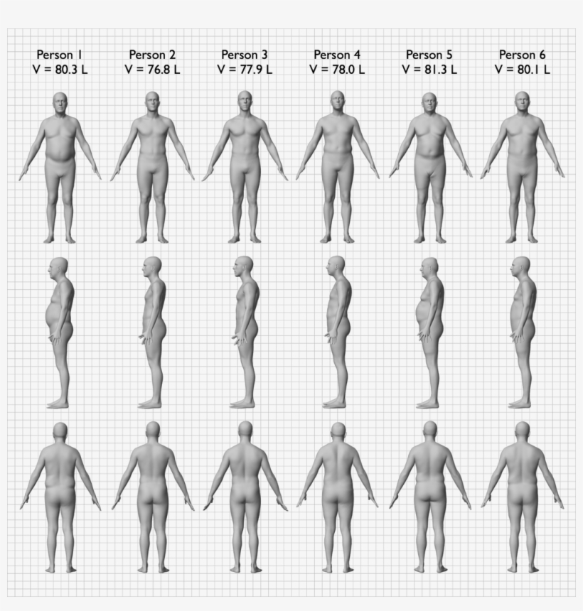 Summer Of Science - Different Bmi Looks Like, transparent png