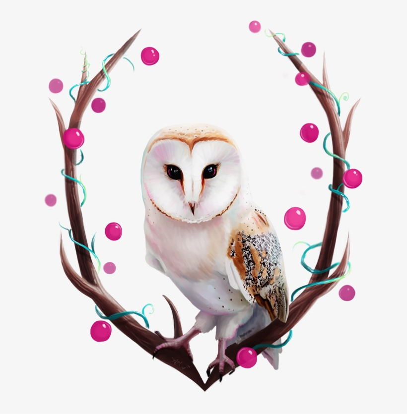 'owl' By Tanya Bosyk Owl Paper, Owl Eyes, Owl Paintings, - Happy Birthday Barn Owl, transparent png