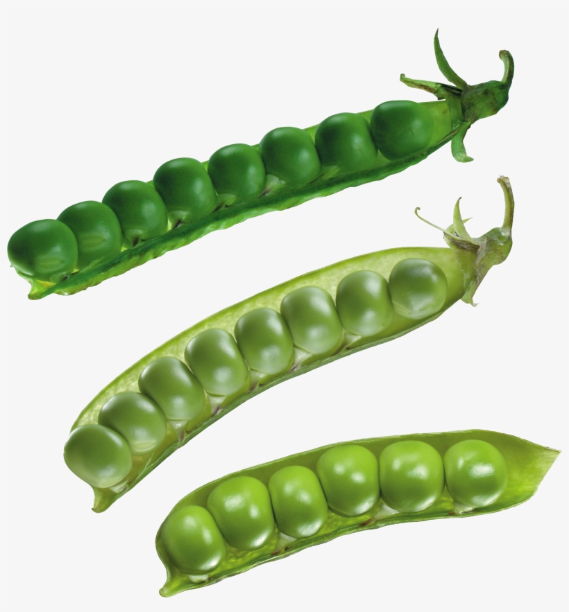 Pea Png, Download Png Image With Transparent Background, - Bean, transparent png