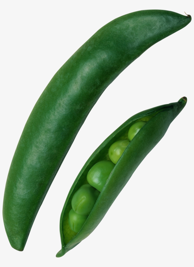 Pea Png, Download Png Image With Transparent Background, - Горох Стручок, transparent png