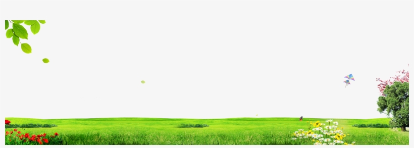 Field, transparent png