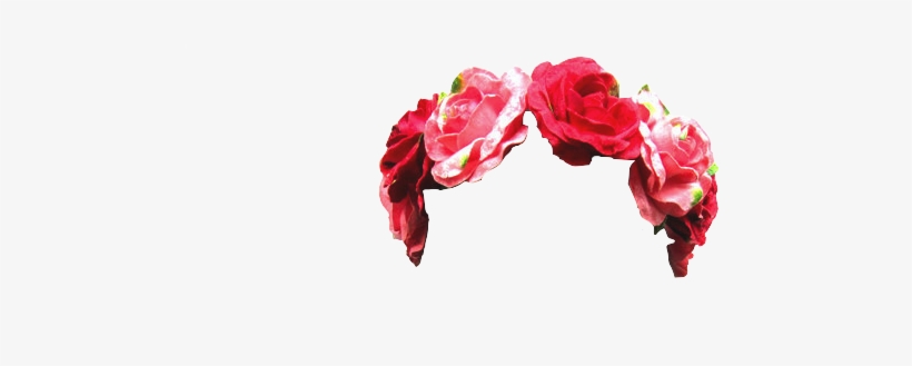 33 Images About 🌺 F L O W E R C R O W N 🌺 On We Heart - Hybrid Tea Rose, transparent png
