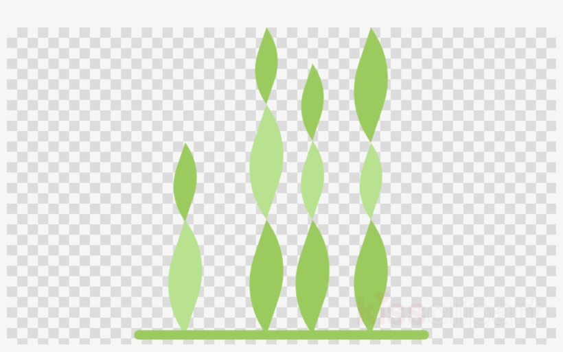 Download Transparent Background Seaweed Icon Clipart - Png Cartoon Fairies, transparent png