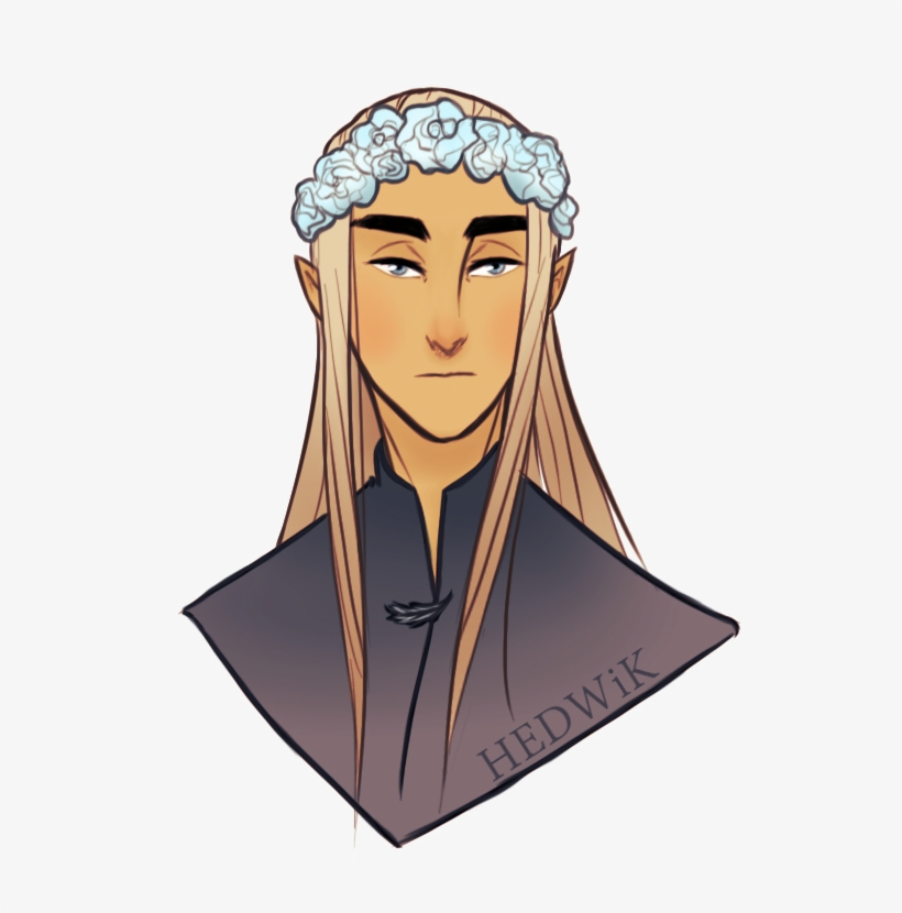 Flowercrown Thranduil By Hedwik &lt - Thranduil, transparent png