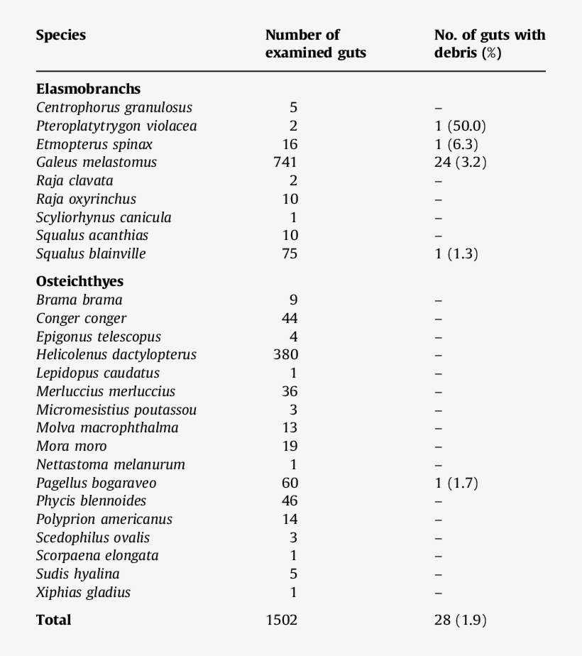 Occurrence Of Ingested Debris In The Guts Of The Deep-water - Pennsylvania, transparent png
