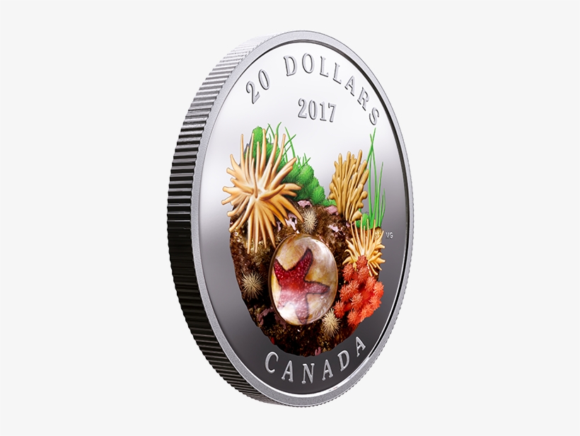 Under The Sea - Wall Clock, transparent png