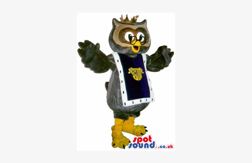 Funny - Funny Grey Owl Plush Spotsound Ltd Mascot Costume With, transparent png