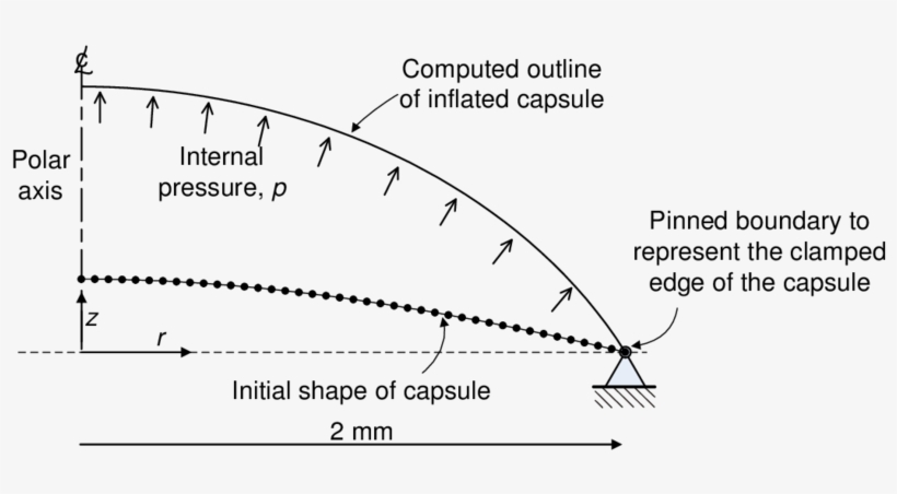 Fisher [2] Inflation Test - Diagram, transparent png