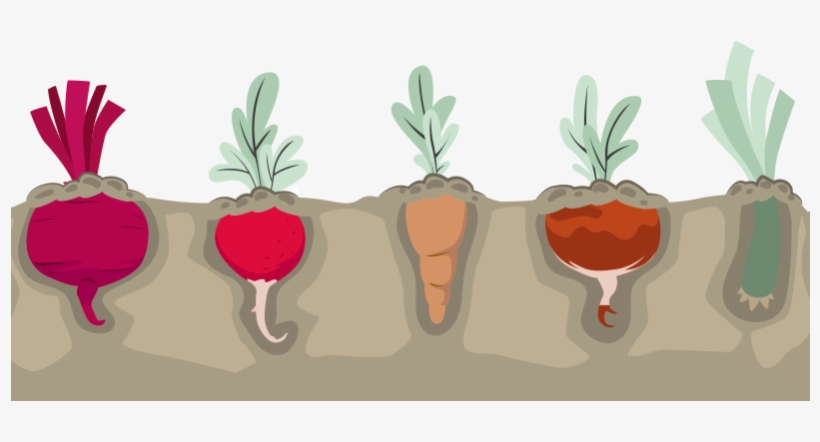 The Mayo Prescription For Good Nutrition - Illustration, transparent png
