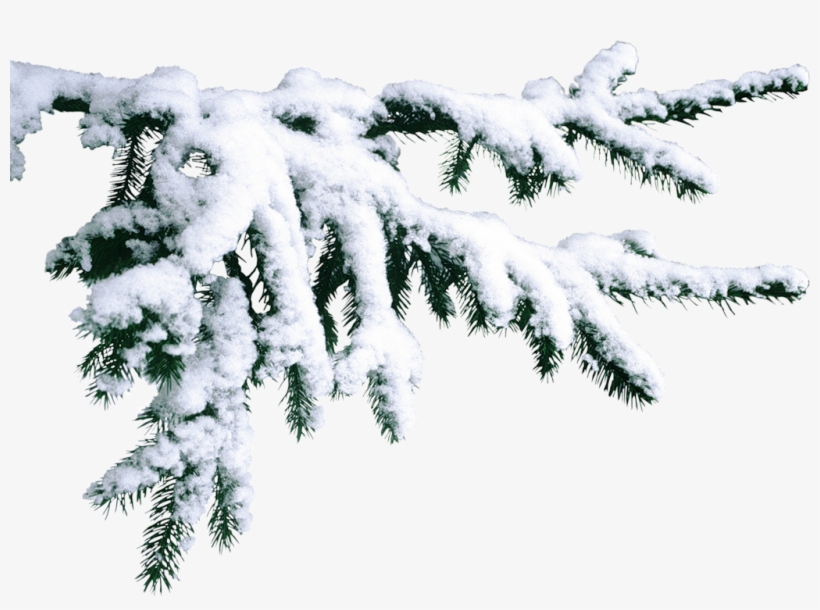 Thumb Image - Saint Petersburg, transparent png