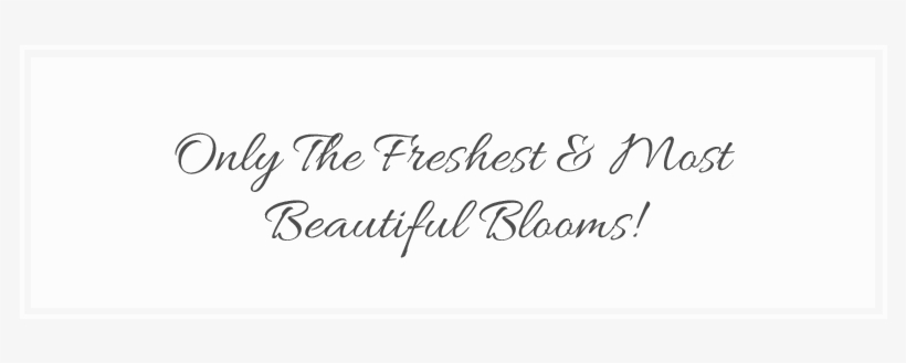 Flower Delivery Cape Town, The Rose Cafe - Calligraphy, transparent png