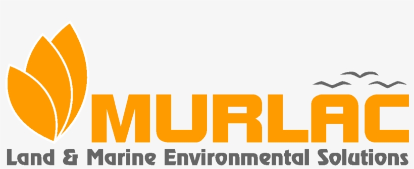 Temporary Dams - Service, transparent png