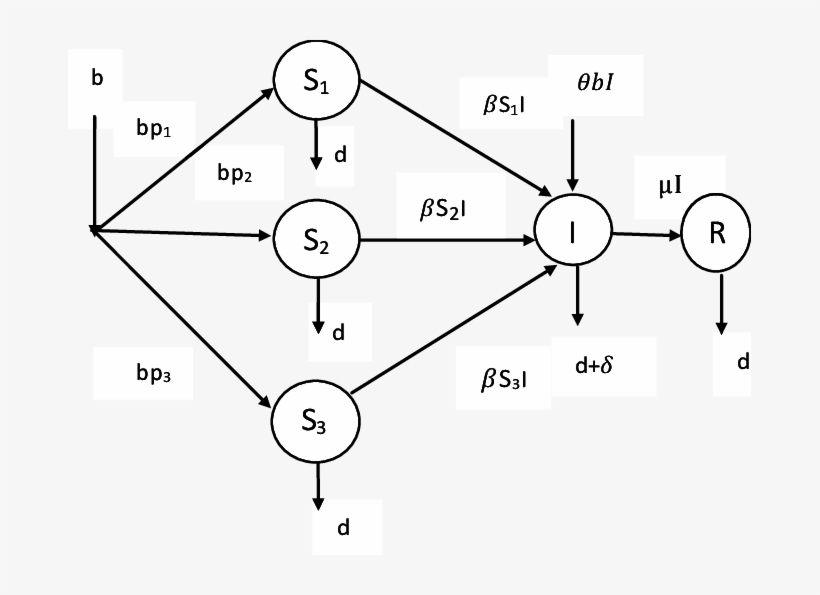 The Flow Of Virus, Worms And Trojans In Computer Network - Trojan Horse, transparent png