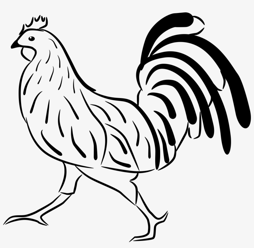 Rooster - Free Clipart - Bcdownload - - Cafepress Red Rooster Queen Duvet, transparent png