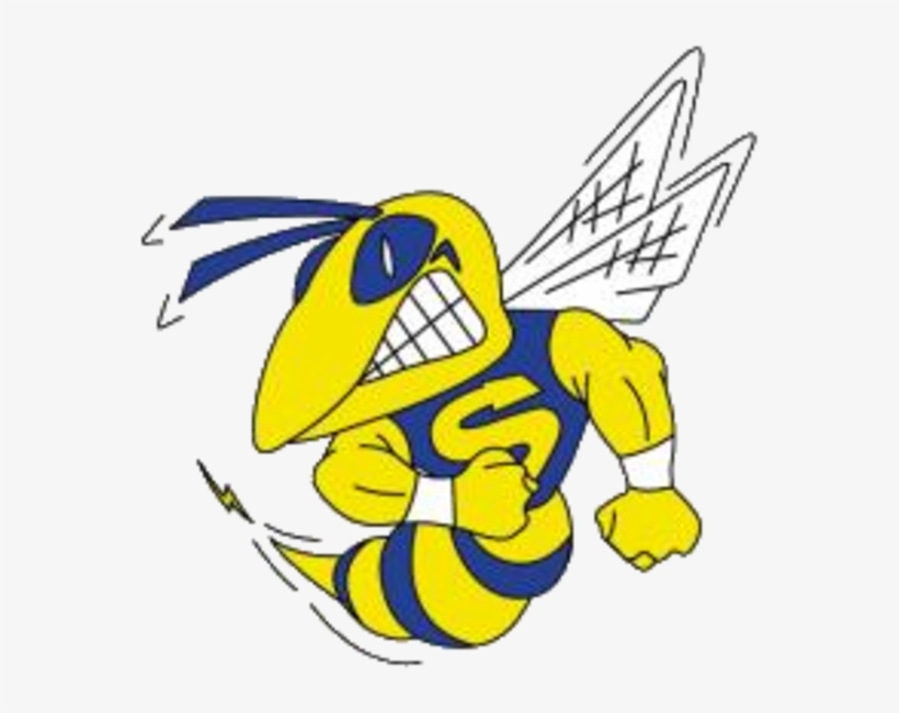 Saline High School Hornets, transparent png