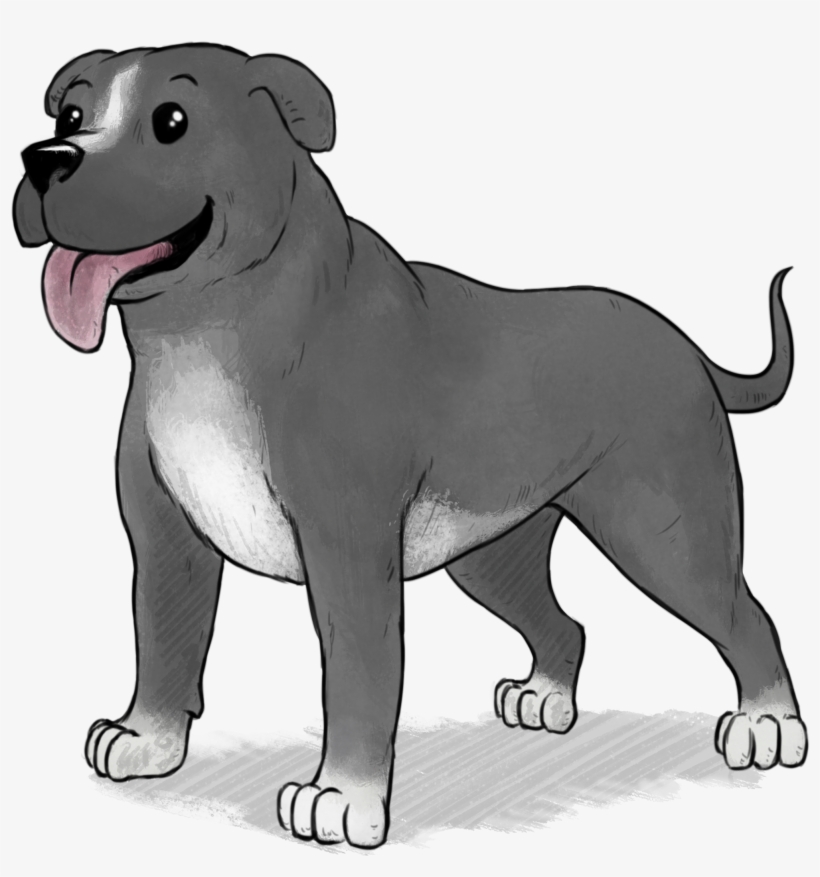Medium Dog - Pit Bull, transparent png