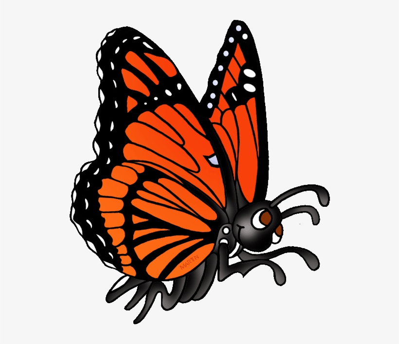 Monarch Butterfly Clipart Viceroy Butterfly - Butterfly Phillip Martin Clipart, transparent png