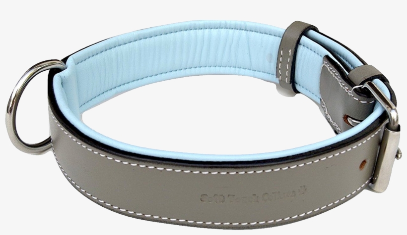 Dog Collar Png - Collar, transparent png