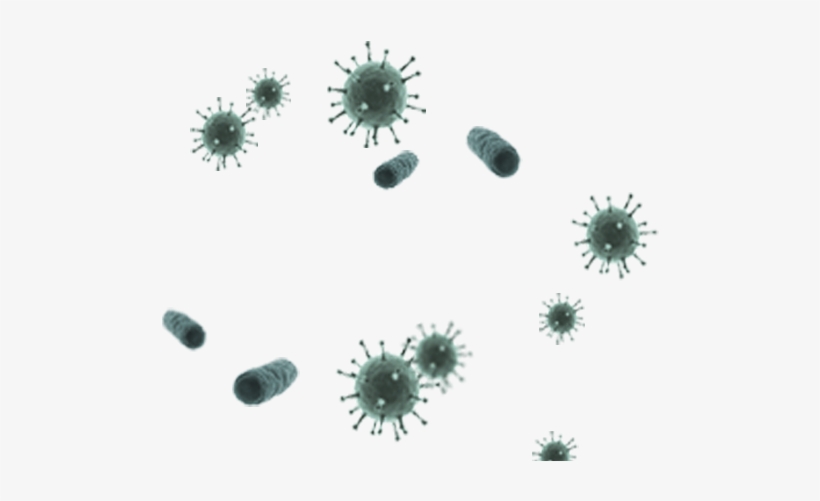 Germs - Virus, transparent png