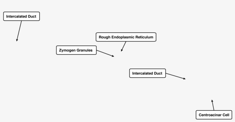 Diagram, transparent png
