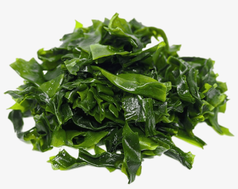 Download - Kleidung In Der Zukunft, transparent png