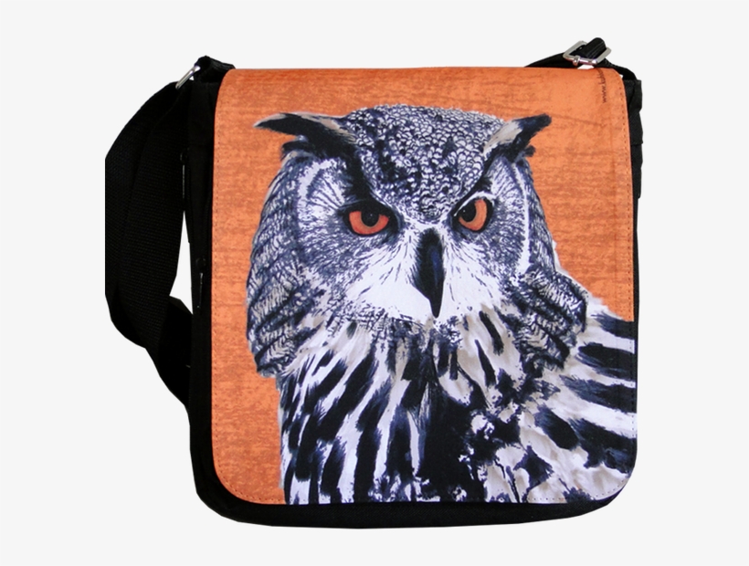 Hedwig, Bag With Owl - Plecstrums Owls Framed Guitar Pick Display Plectrums, transparent png