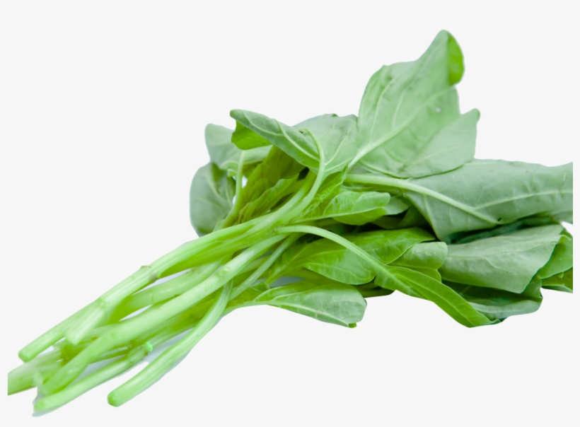 Chinese Spinach Png Image, transparent png