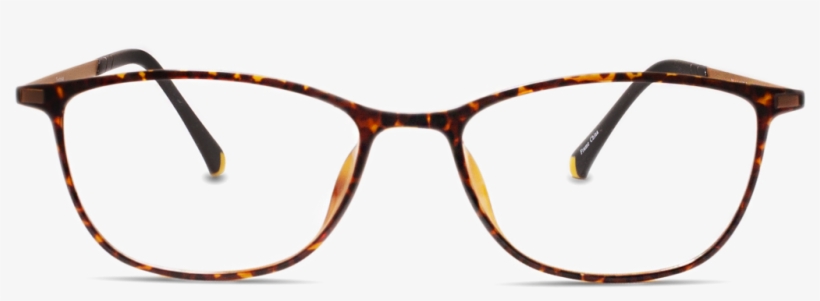 Tortoise - Glasses, transparent png