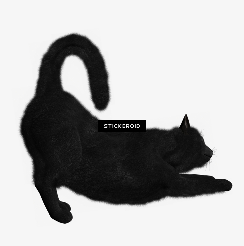 Cat Cats - Cat Yawns, transparent png