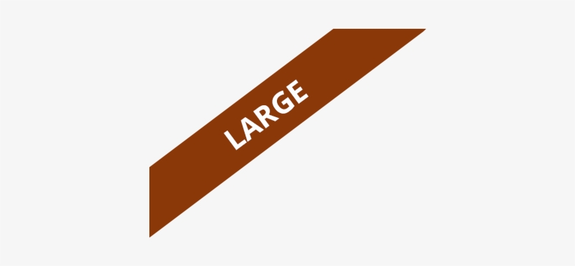 Raven Stealing The Sun Bracelet, Xl - Tan, transparent png