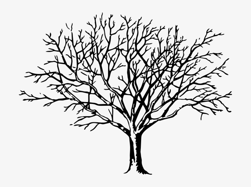 Clipart Tree - Big Black And White Tree, transparent png