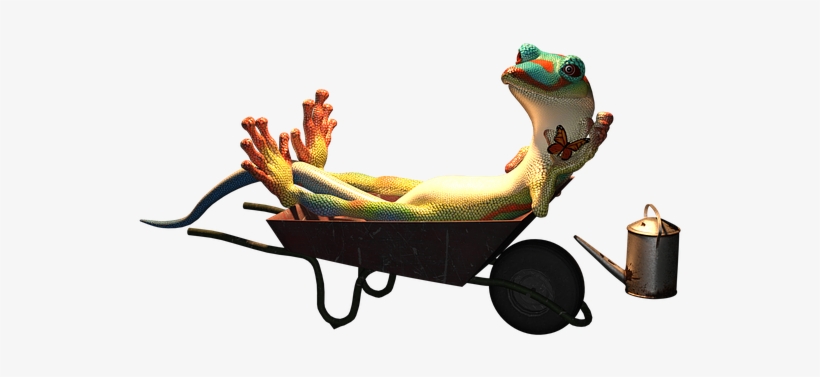 Gecko, Animal, Garden, Lazy, Laziness, Wheelbarrow - Gecko, transparent png