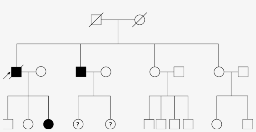 Pedigree Of 74 Year Old Man Affected By Gallbladder - Medicine, transparent png