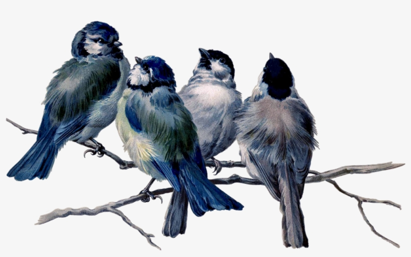 Mq Blue Birds Bird Flying Animal - Vintage Bird Tattoos, transparent png