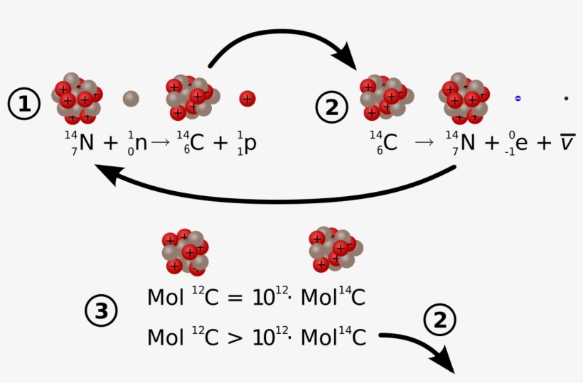 Image - Alpha Decay Of Carbon 12, transparent png