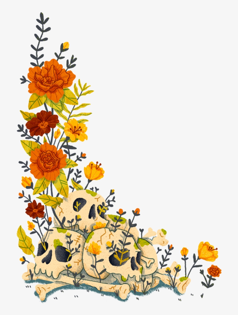 Prabhat Jha Is An Epidemiology Professor In The Dalla - Sunflower, transparent png