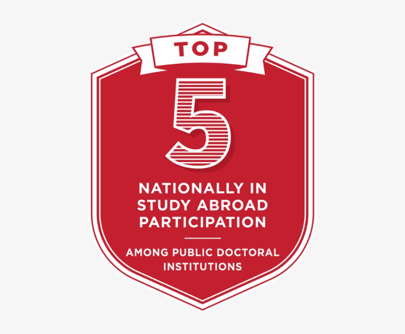 Top 5 Nationally In Study Abroad Participation Among - Organizing For Health Care, transparent png