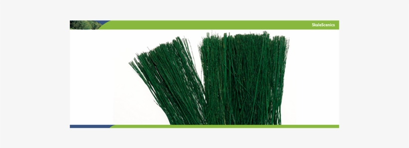 Field Grass Dark Green - Hornby - R8863 - Light Green Field Grass, transparent png